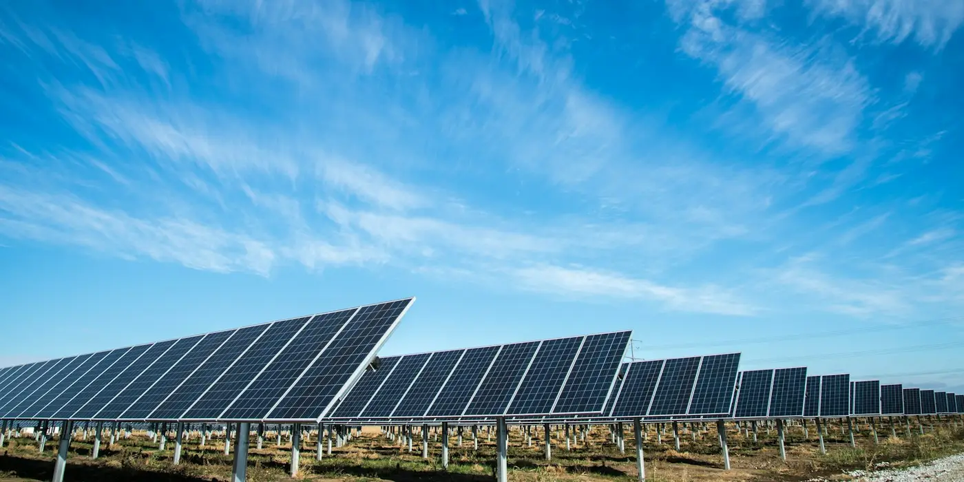 Planta de paneles solares bajo un cielo despejado